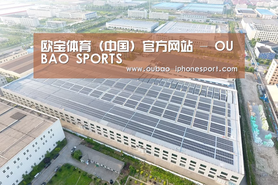 案例展示一