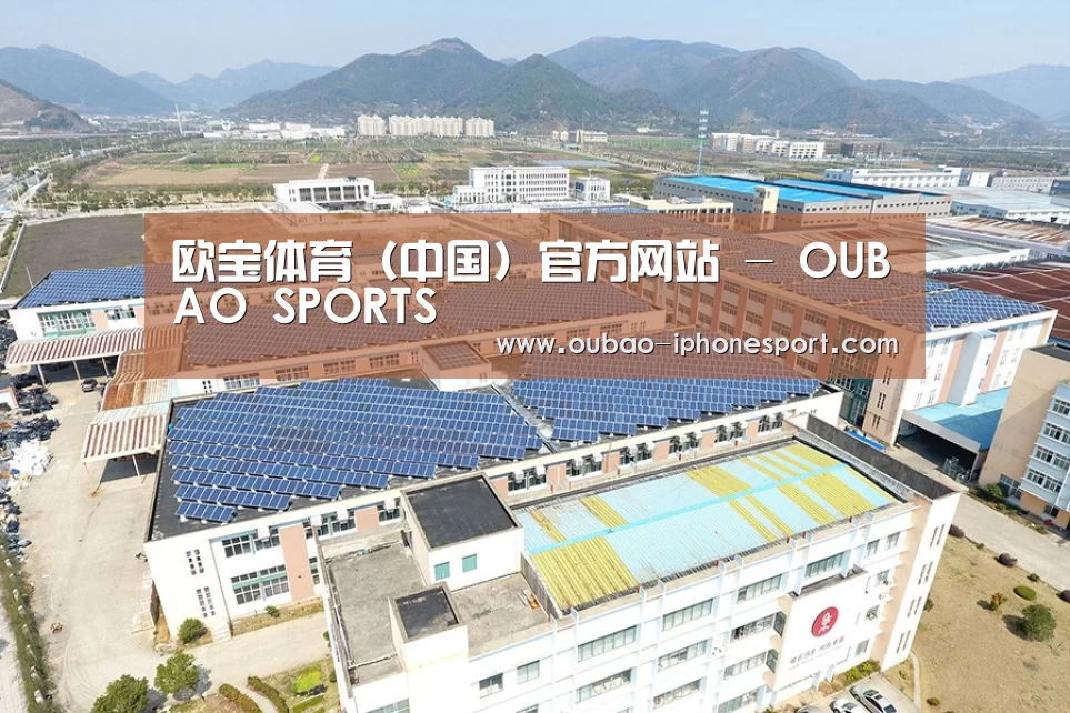 案例展示二