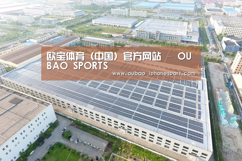 案例展示二
