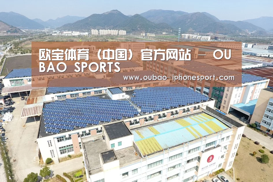 案例展示三