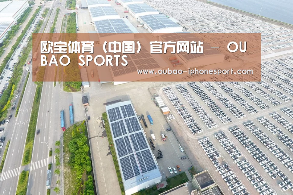 案例展示二