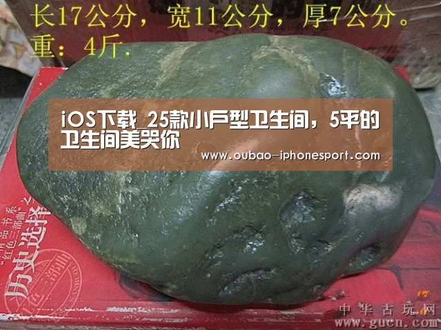 iOS下载_25款小户型卫生间，5平的卫